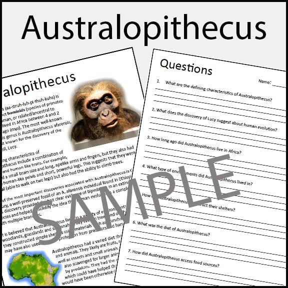 Australopithecus - Early Humans / Stone Age / Question Worksheet - 100% EDITABLE