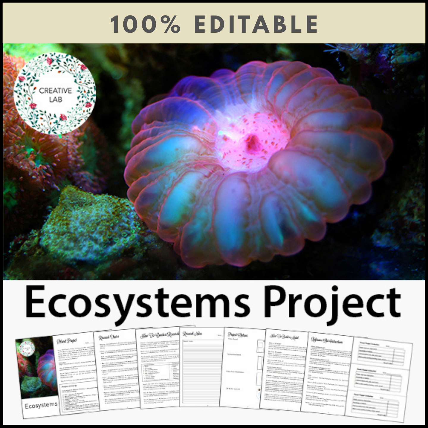 Ecosystems Research Project - PBL - 100% Editable