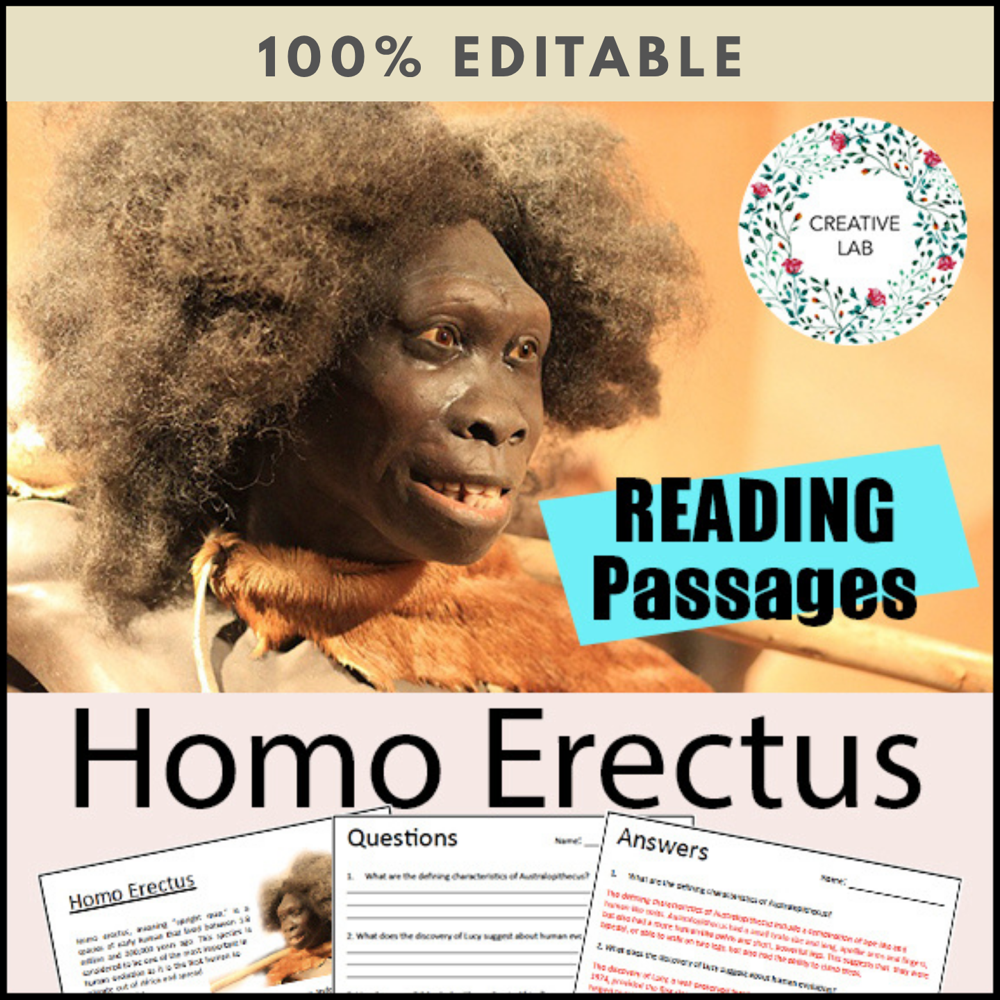 Homo Erectus - Early Humans / Stone Age / Question Worksheets - 100% EDITABLE