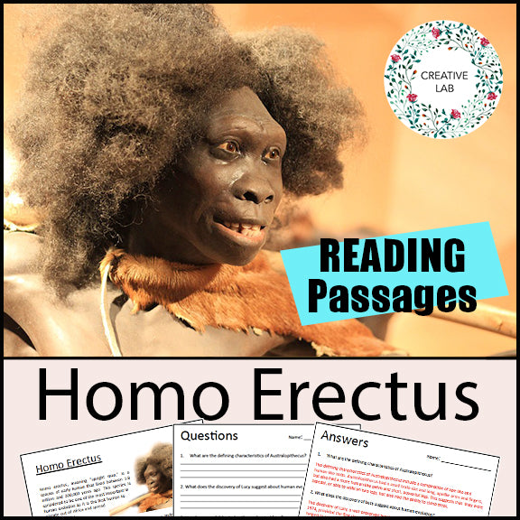 Homo Erectus - Early Humans / Stone Age / Question Worksheets
