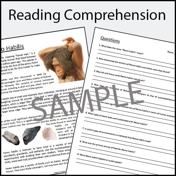 Homo Habilis - Early Humans / Stone Age / Question Worksheets - 100% EDITABLE