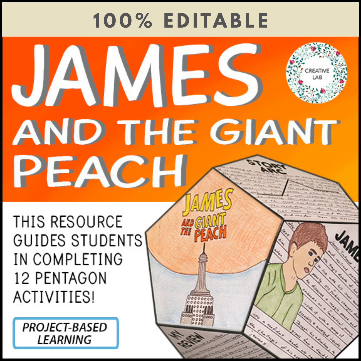 James and the Giant Peach - Novel Study Project Craft - 100% Editable