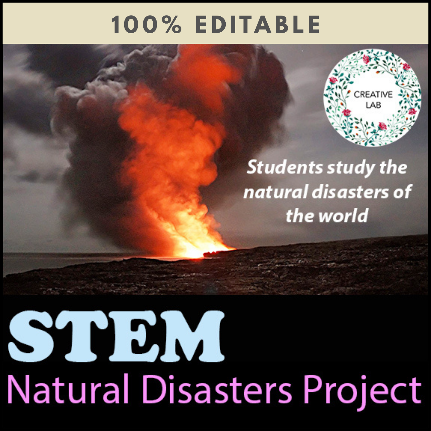 Natural Disasters Project - 100% Editable