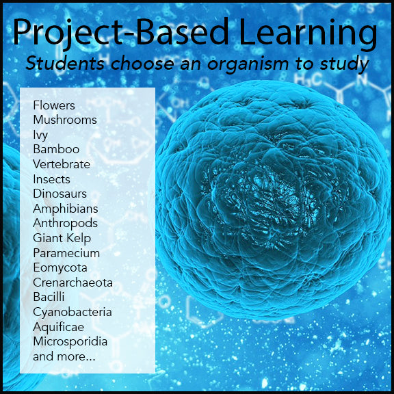 Organisms Research Project - PBL