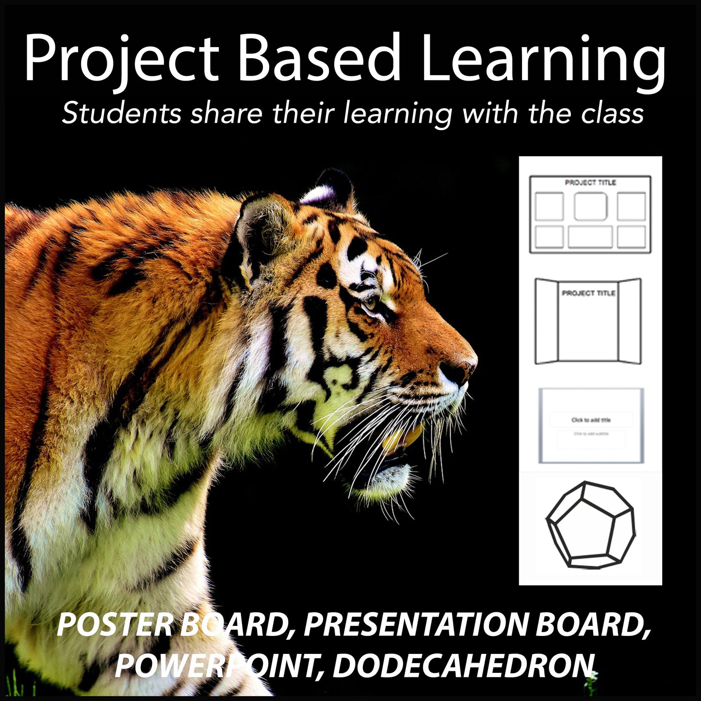 Organisms Research Project - PBL