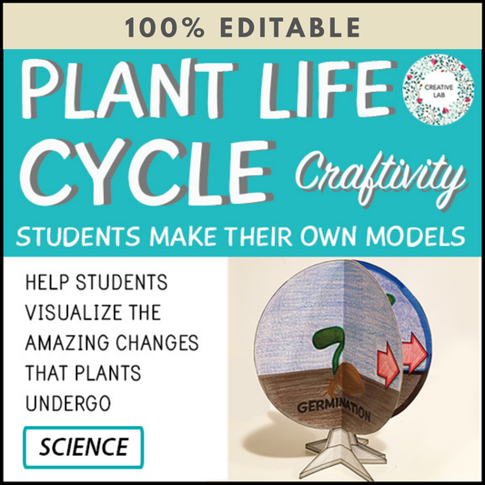 Plant Life Cycle - 3D Model Craft Activity - 100% Editable