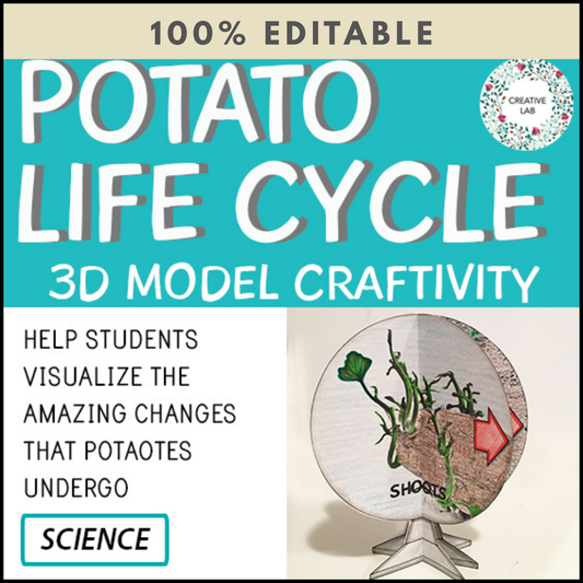 Potato Life Cycle - 3D Model Craft Activity - 100% Editable