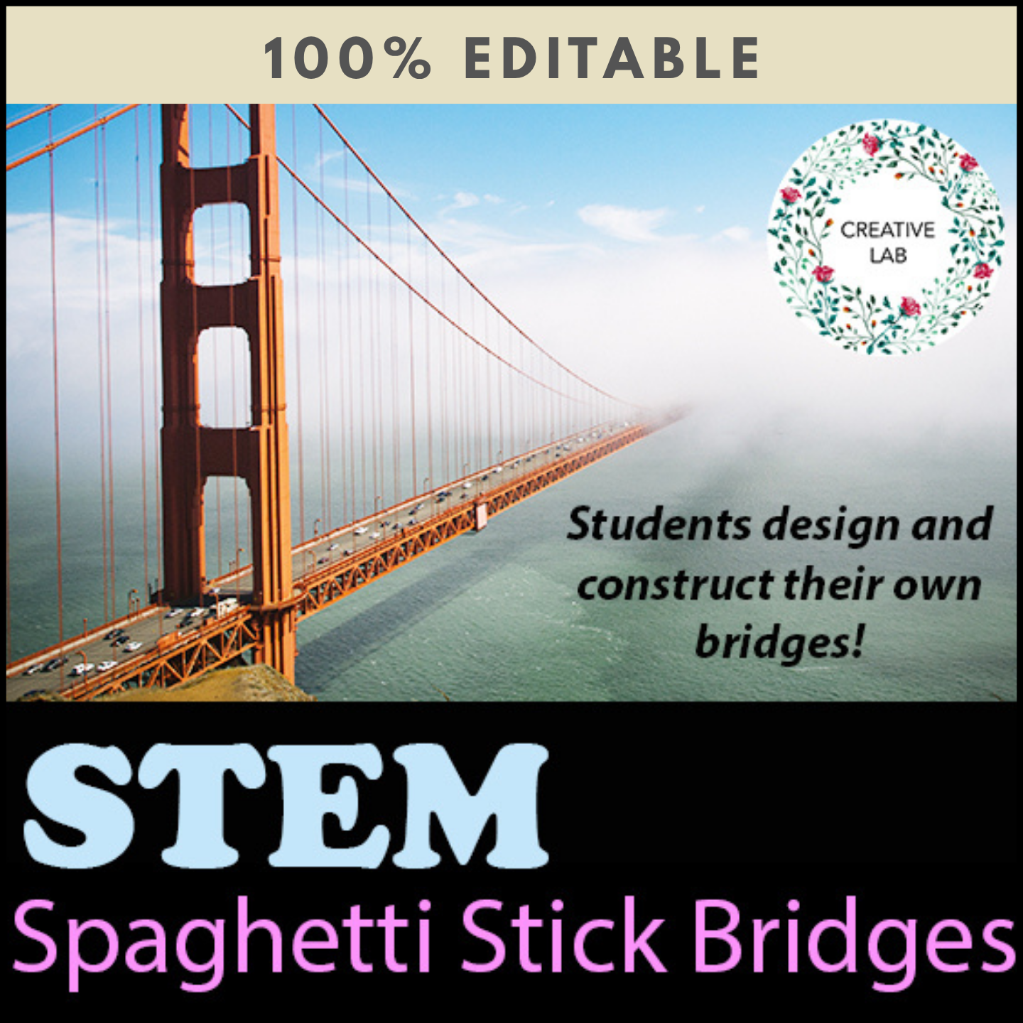 Spaghetti Stick Bridges - 100% Editable