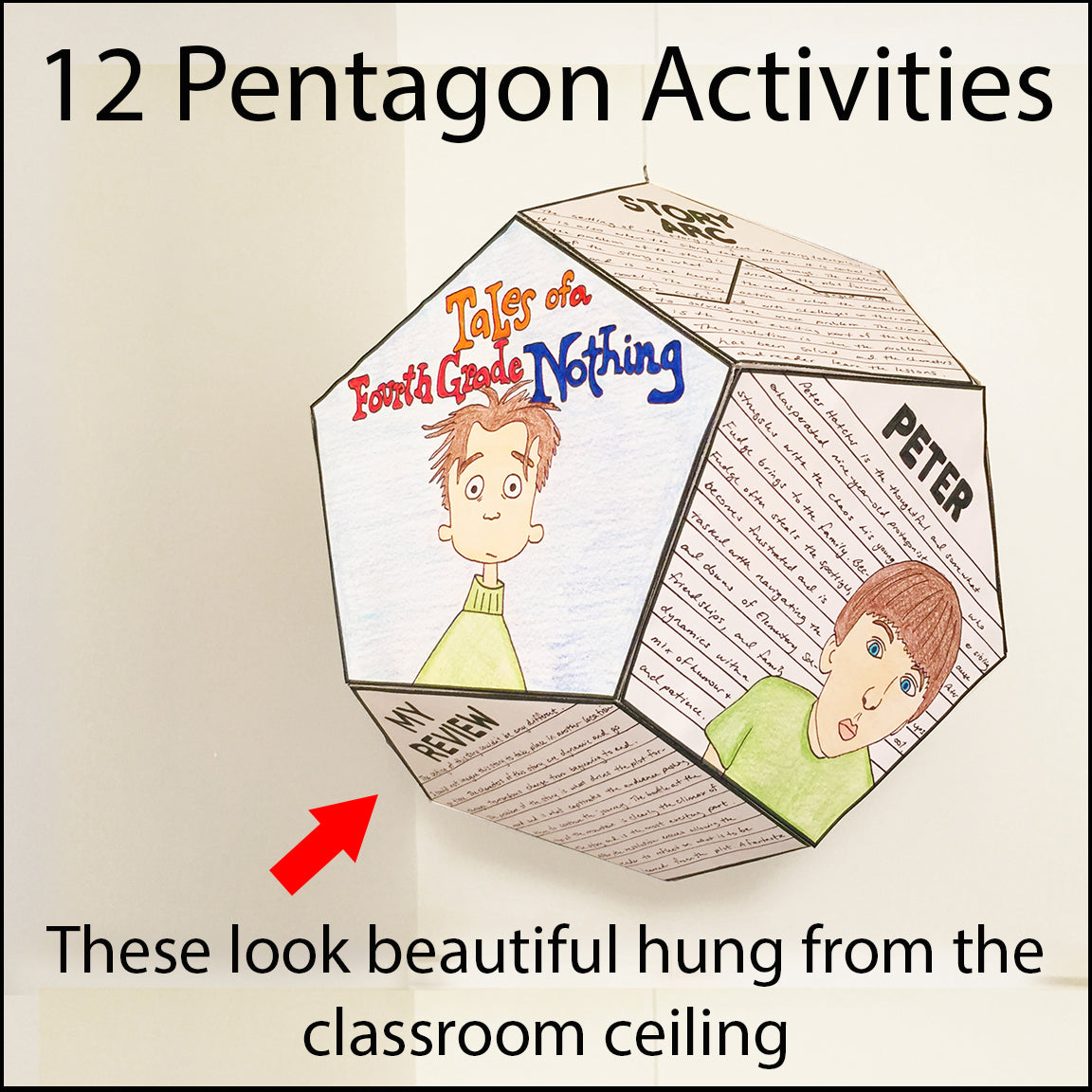Tales of a Fourth Grade Nothing - Novel Study Project Craft - PBL