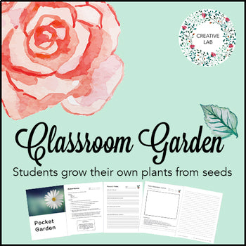 Classroom Garden - Garden Based Learning - GBL