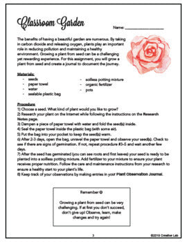 Classroom Garden - Garden Based Learning - GBL