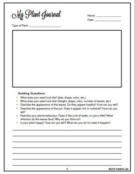 Classroom Garden - Garden Based Learning - GBL