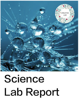 Science Lab Report - Template