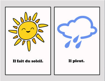 Free French Weather - Vocabulary Worksheet & Visuals