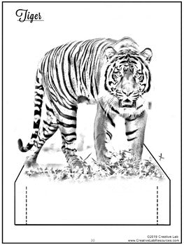 Animal Research Project Report Template Writing Graphic Organizers