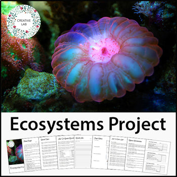 Ecosystems Research Project - PBL