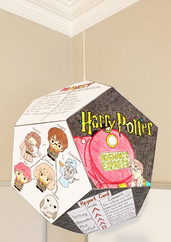 Novel Study Craft For Any Book - 100% Editable