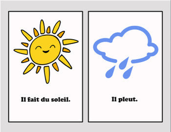 French Weather - Vocabulary Worksheet & Visuals - 100% Editable