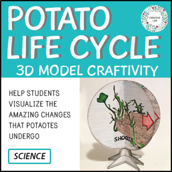 Potato Life Cycle - 3D Model Craft Activity