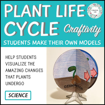 Plant Life Cycle - 3D Model Craft Activity