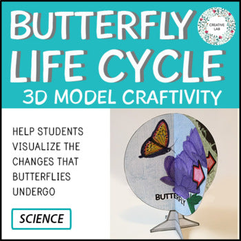 Butterfly Life Cycle - 3D Model Craft Activity