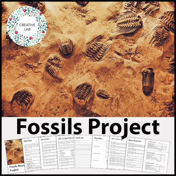 Fossil Research Project - PBL
