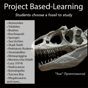 Fossil Research Project - PBL