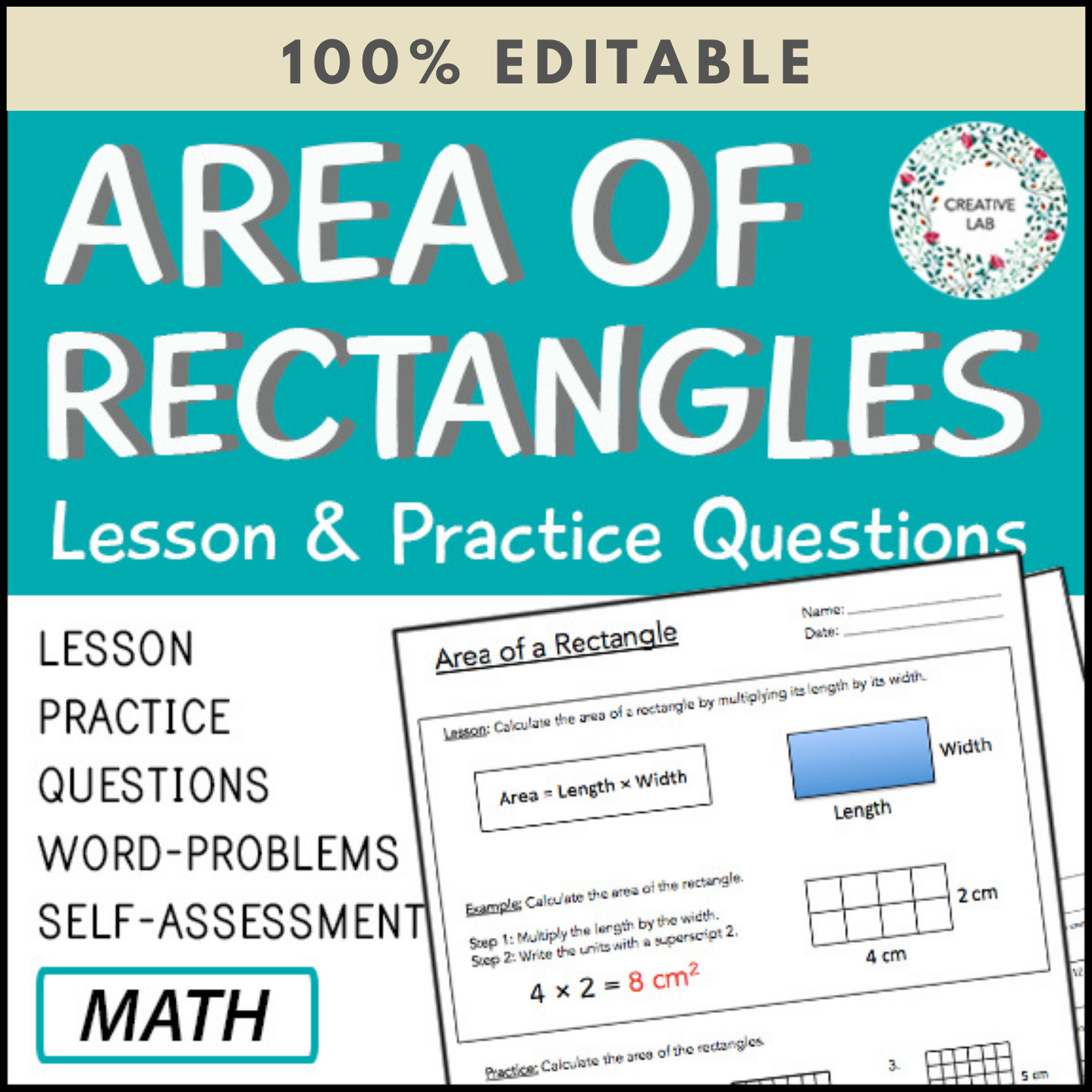 Area of Rectangles - Lesson & Practice Questions - 100% Editable ...