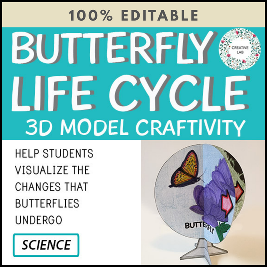 Butterfly Life Cycle - 3D Model Craft Activity - 100% Editable