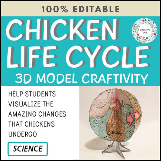 Chicken Life Cycle - 3D Model Craft Activity - 100% Editable