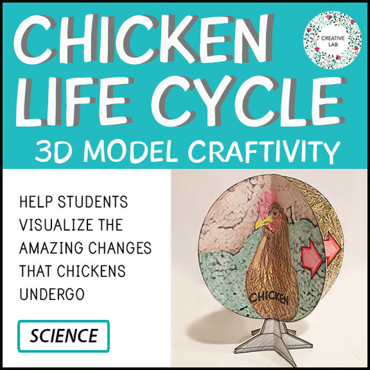 Chicken Life Cycle - 3D Model Craft Activity