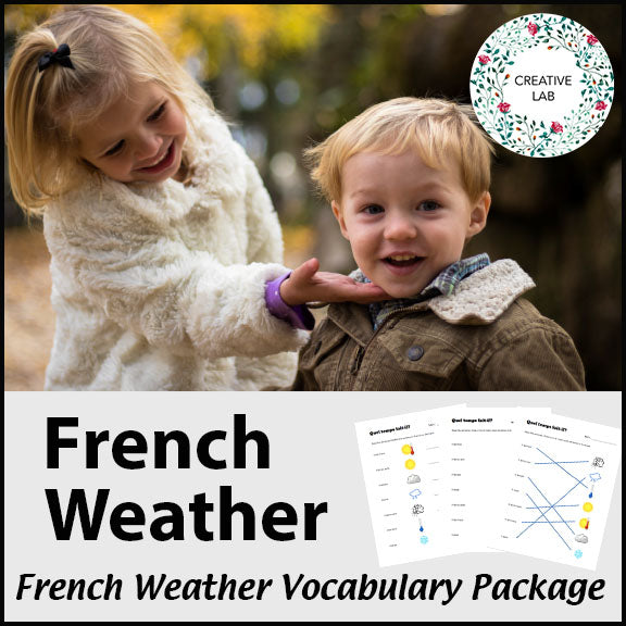 Free French Weather - Vocabulary Worksheet & Visuals
