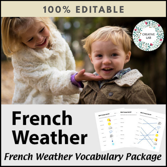 French Weather - Vocabulary Worksheet & Visuals - 100% Editable