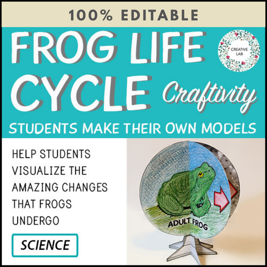 Frog Life Cycle - 3D Model Craft Activity - 100% Editable