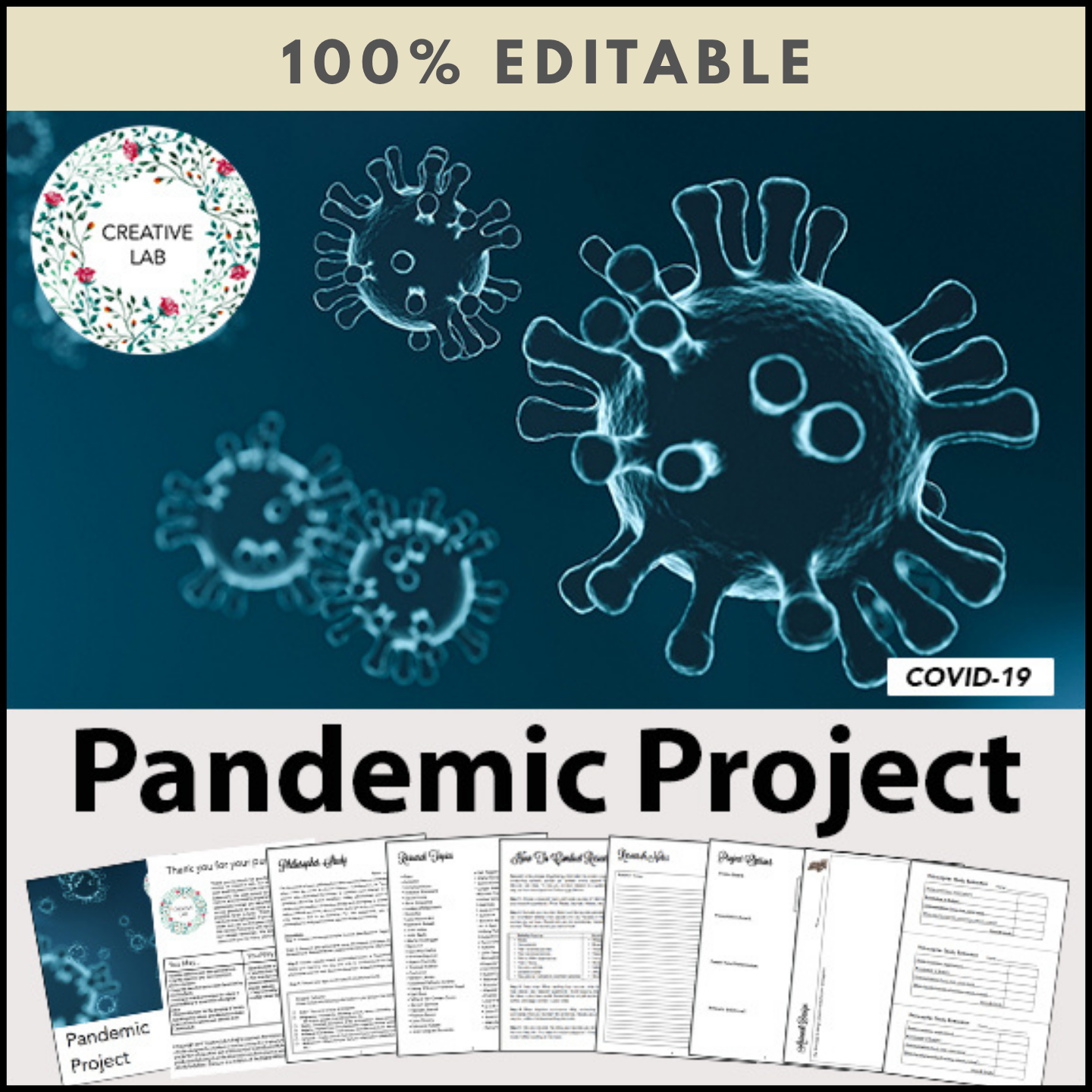 Pandemic Project - 100% Editable