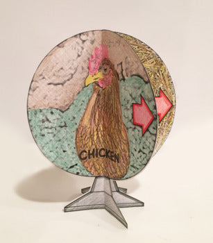 Chicken Life Cycle - 3D Model Craft Activity