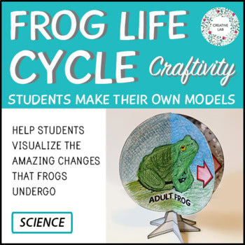 Frog Life Cycle - 3D Model Craft Activity