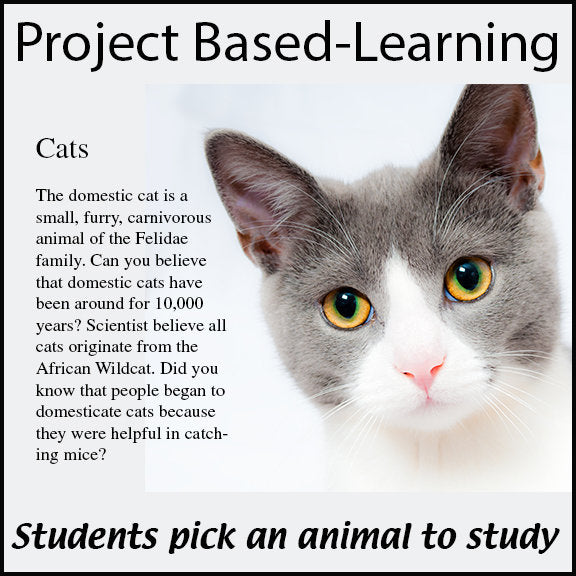 Animal Research Project - Adaptations and Evolution - PBL // Printable Teaching Resource // No Prep Classroom // Project Based Learning