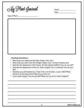 Classroom Garden - Garden Based Learning - 100% Editable // Printable Teaching Resource // No Prep Classroom //