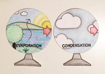 Water Cycle Craft Activity - 3D Model // Printable Teaching Resource // No Prep Classroom //